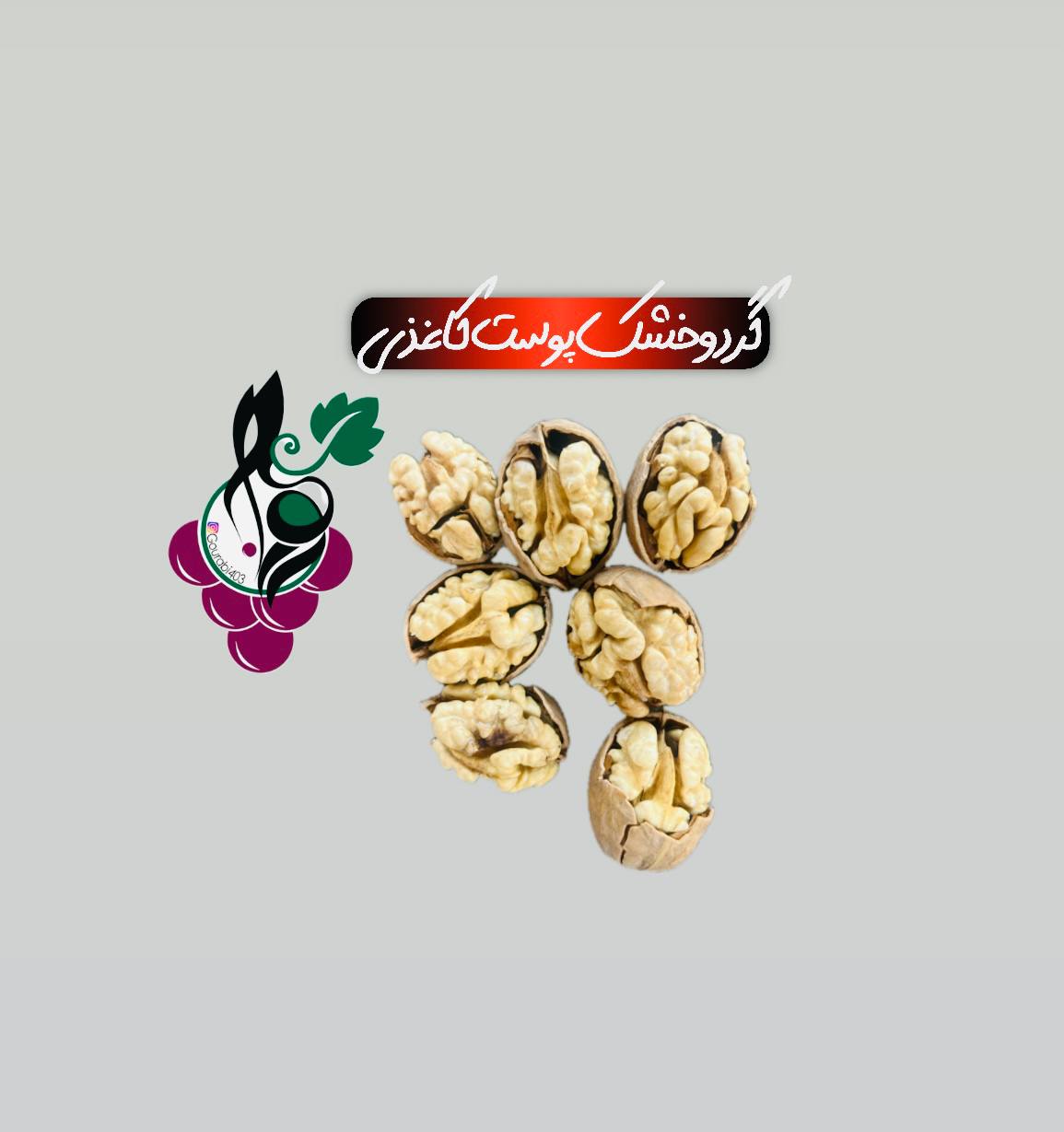 گردوی پوست کاغذی
