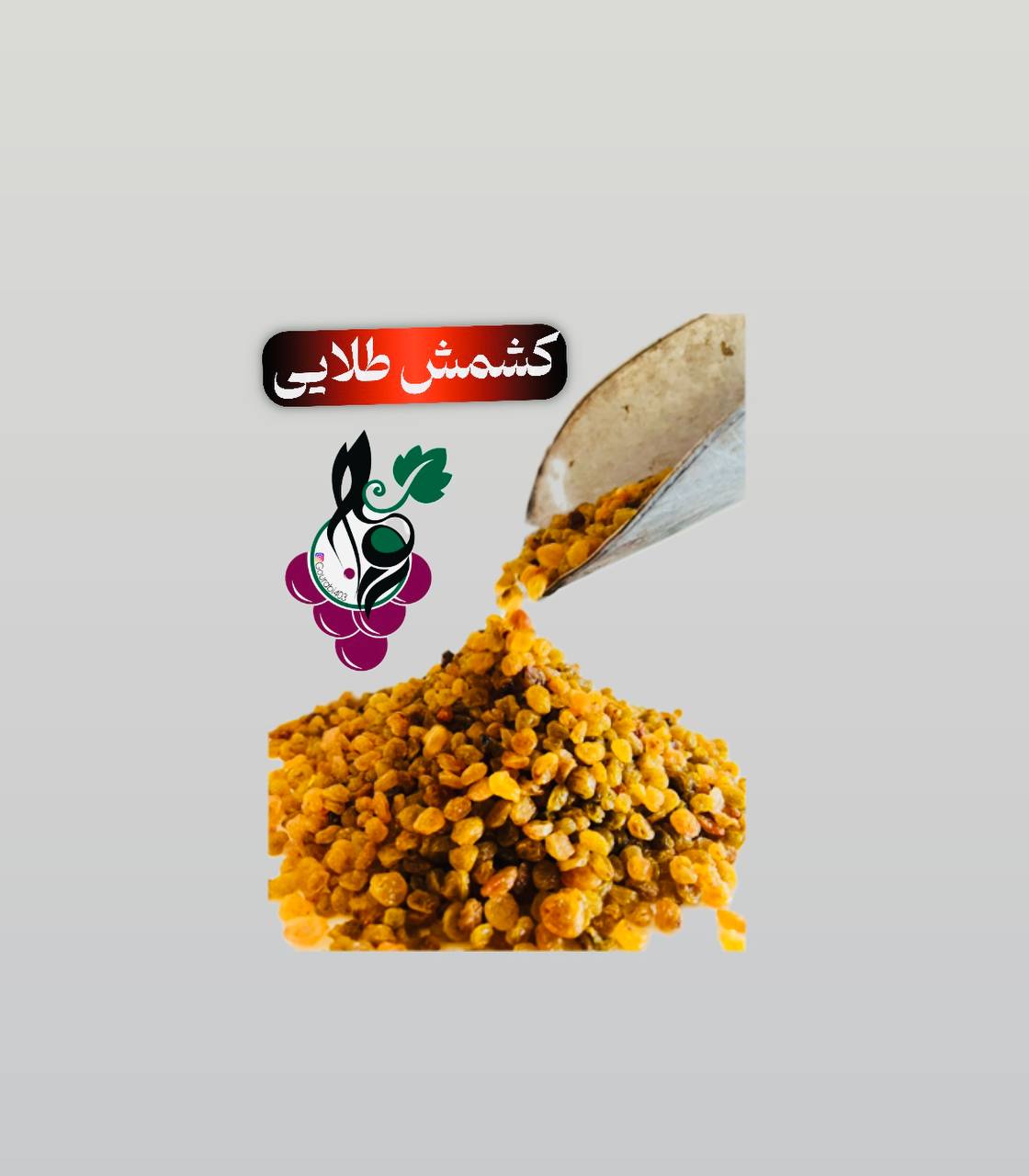 کشمش بی هسته طلایی