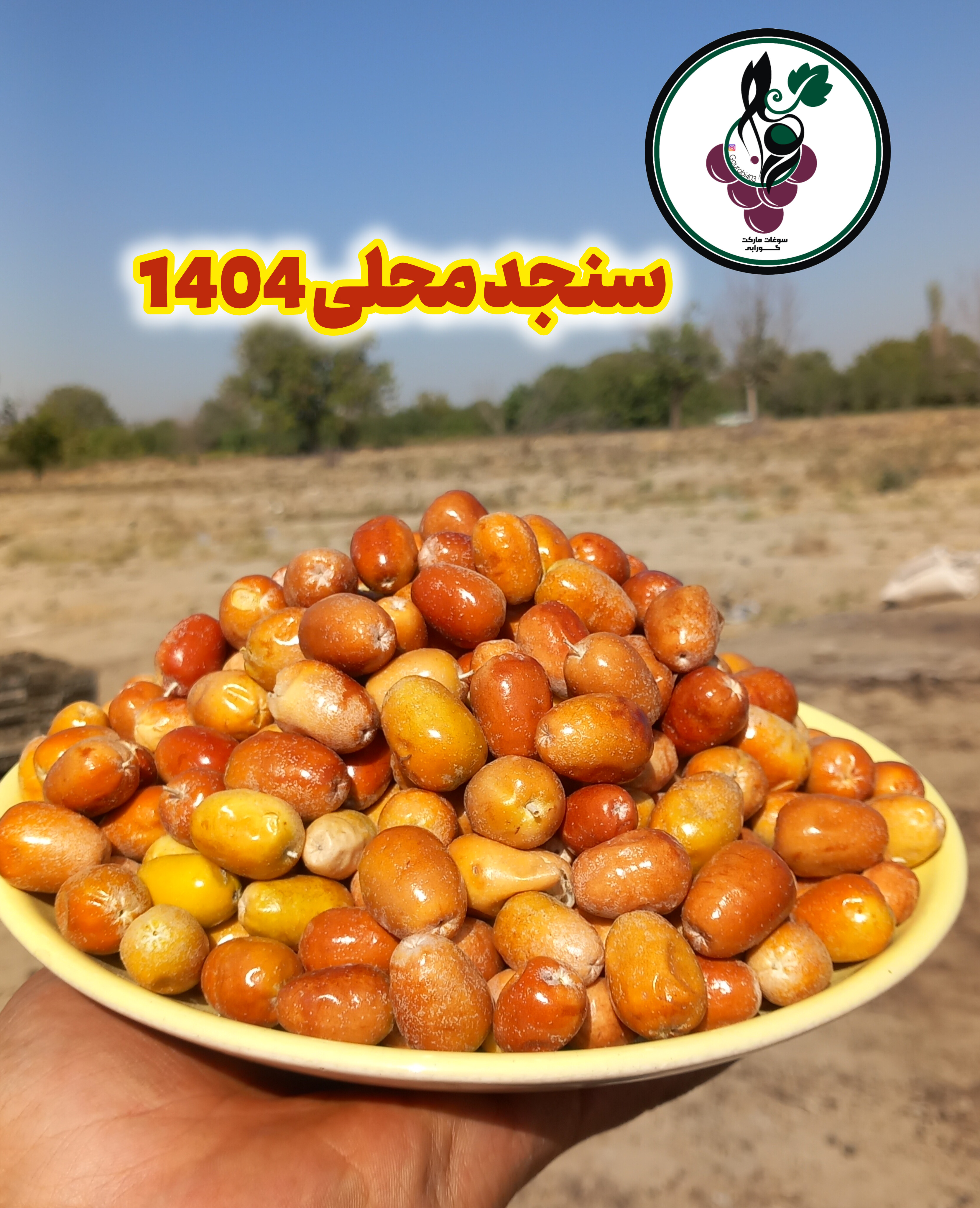 سنجد محلی تازه